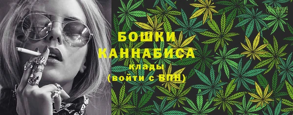 PSILOCYBIN Алзамай