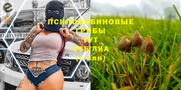 spice Алексеевка