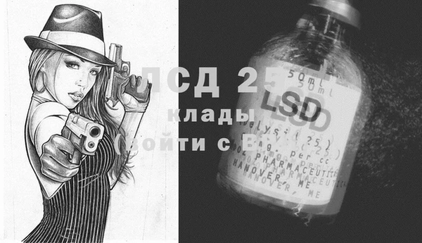 PSILOCYBIN Алзамай