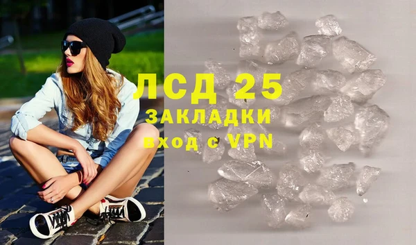 PSILOCYBIN Алзамай