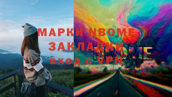PSILOCYBIN Алзамай