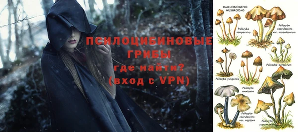 PSILOCYBIN Алзамай