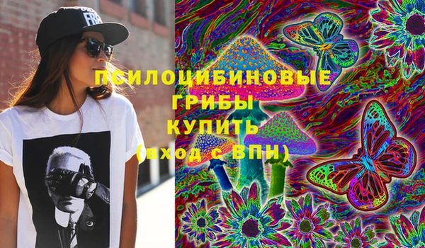 spice Алексеевка