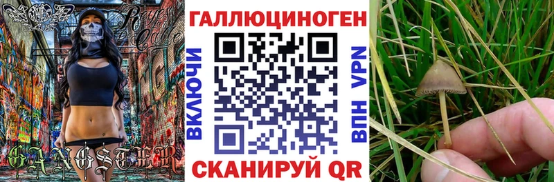 Галлюциногенные грибы мицелий  Чёрмоз 