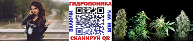 продажа наркотиков Чёрмоз Конопля семена